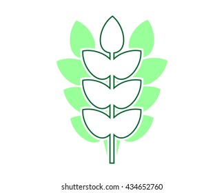 paddy wheat plant flora image vector icon
