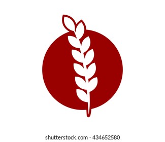 paddy wheat red circle image vector