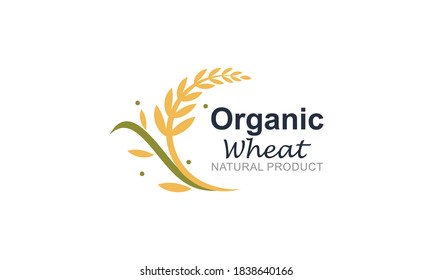 Paddy Wheat, Rice Organic Grain Products Food Banner Logo