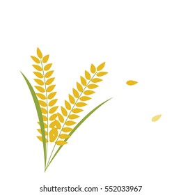 paddy-wheat grains with grass 