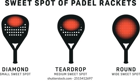 Padel racket types vector graphic illustration black