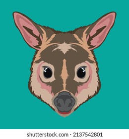 Pademelon face vector illustration in cute cartoon style, perfect for tshirt style and mascot logo