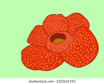 Padma giant (Latin: Rafflesia arnoldii) is an obligate obligate parasitic plant which is famous for having very large flowers, in fact it is the 1st largest flower in the world