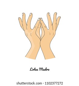 Padma Mudra / Gesture Of Lotus. Vector. 