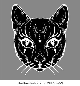 Pagan magical black cat with the symbol of the moon. Gothic graphics. Wicca.