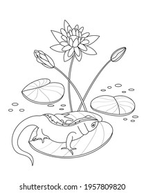 Сoloring page for children with turtle, water lily flowers and leaves, hand-drawn, black and white, doodle, sketch, vector illustration.