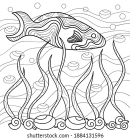Page of the coloring book. Hand-drawn fish with seaweed and seashells. Vector isolated illustration .