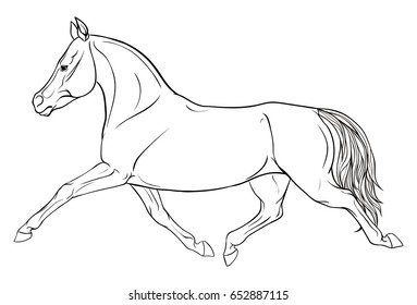 3,217 Dressage horse outline Images, Stock Photos & Vectors | Shutterstock