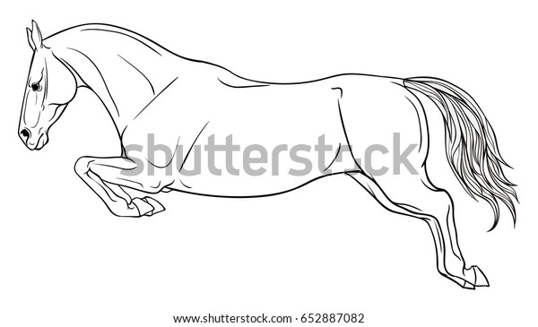 Page Coloring Equestrian Sport Horse Jumps Stock Vector Royalty