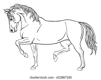Page coloring with horse. The horse in dressage. 