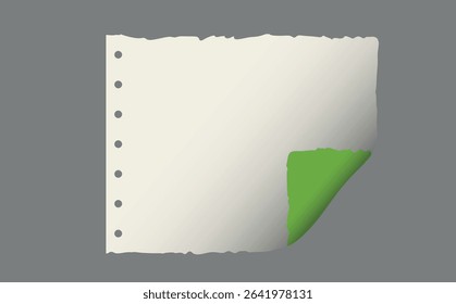 Page curl. Curled color paper. Blank sheet of ripped aged paper bright color corner. Copy space design for text, advertising, poster, wallpaper, backdrop. Printable lined and squared grid paper.