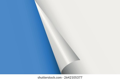 Page curl. Curled color paper. Blank sheet of ripped aged paper bright color corner. Copy space design for text, advertising, poster, wallpaper, backdrop. Printable lined and squared grid paper.