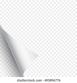 Page curl on transparent background. White paper. Vector illustration.