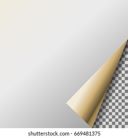 Page curl with pearl transparent corner.