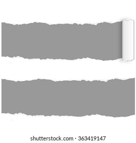 Page curl - ripped page vector