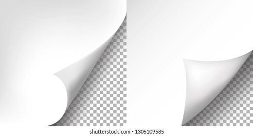 Page curl with shadow on blank sheet of paper. For advertising and promotional isolated on transparent background. Vector illustration