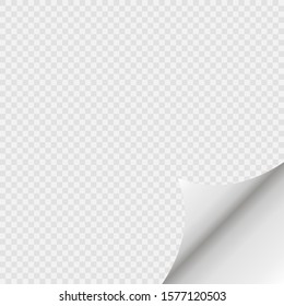 Page curl with shadow on blank sheet of paper. White paper sticker. 
