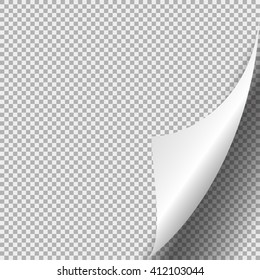 Page curl with shadow on blank  white of paper