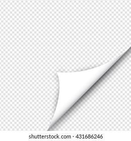 Page Curl with Shadow on Blank Sheet of Paper - White Paper Sticker on Isolated Background - Vector Illustration Design Element for Your Business