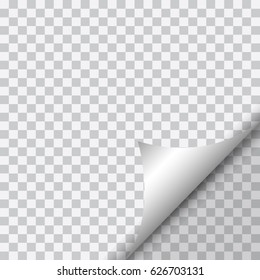 Page curl with shadow on blank sheet of paper. White paper sticker. Vector illustration for your design and business