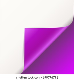 Page curl with shadow on blank sheet of paper. Vector curled corner of white paper with shadow. Close-up isolated on pink background. Paper sticker, 3D illustration