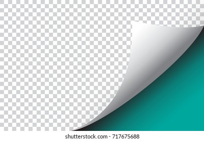 Page curl with shadow on blank sheet of paper. Cover mock-up presentation, layout.Vector illustration.