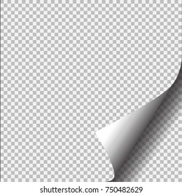 Page curl with shadow on blank sheet of paper. Vector element for advertising and promotional message. Isolated vector illustration on transparent background. For your design and business.