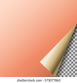 Page curl with transparent corner.