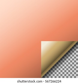Page curl with transparent curled corner.