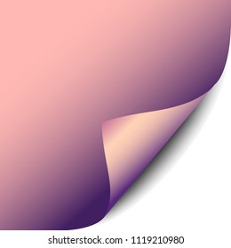 Page curl vector illustration