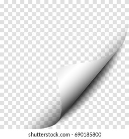 Page curl vector illustration