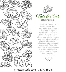 Page design template with hand drawn nuts and seeds. Cola nut, pumpkin seed, peanut and sunflower seeds. Pistachio, cashew, coconut, hazelnut and macadamia. Vector illustration in sketch retro style.