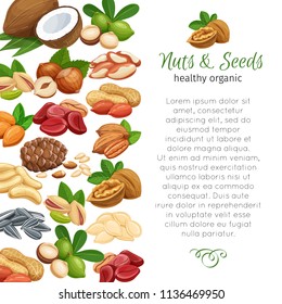 Page design template with nuts and seeds. Cola nut, pumpkin seed, peanut and sunflower seeds. Pistachio, cashew, coconut, hazelnut and macadamia. Vector illustration.