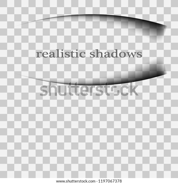 Page divider with transparent
shadows isolated. Transparent shadow realistic
illustration