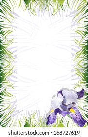 Page with flower Iris. Greeting card or invitation. Vector illustration. 