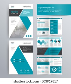 page layout for company profile, annual report, brochure, and flyer layout template. with info graphic element. and vector A4 size  for editable 