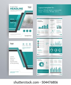 page layout for company profile, annual report, brochure, and flyer layout template. with info graphic element. and vector A4 size  for editable 