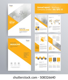 page layout for company profile, annual report, brochure, and flyer layout template. with info graphic element. and vector A4 size for editable