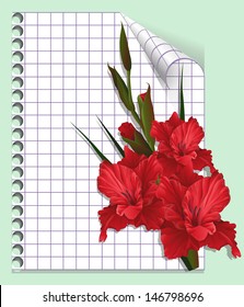 Page of a notebook with gladiolus.  Red flower and page. Vector illustration for cards, drawing up of the menu, the schedule, plans etc. Congratulations and wishes. 