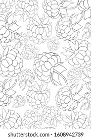 page for raspberry berry coloring book for adult and child , outline hand drawing vector illustration, line art doodle, for print fabrics, stickers, postcards, posters, banners, textile. Garden, boho