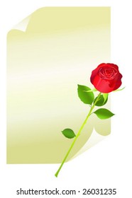 page with red rose