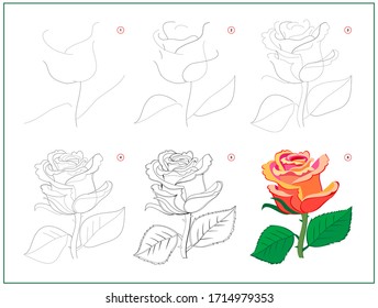 La página muestra cómo aprender a dibujar paso a paso una hermosa flor de rosa. Desarrollo de las aptitudes de los niños para el dibujo y la coloración. Hoja de cálculo impresa para el libro de ejercicios escolares para niños. Imagen plana vectorial.