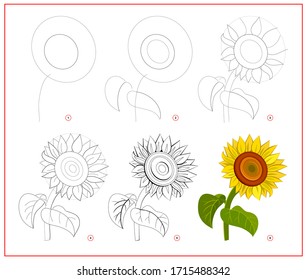 Page shows how to learn to draw step by step beautiful sunflower. Developing children skills for drawing and coloring. Printable worksheet for kids school exercise book. Flat vector cartoon image.