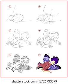 Page shows how to learn to draw step by step cute flying bird jay. Developing children skills for drawing and coloring. Printable worksheet for kids school exercise book. Flat vector illustration.