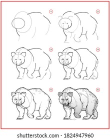 Page shows how to learn to draw sketch of cute bear. Creation step by step pencil drawing. Educational page for artists. Textbook for developing artistic skills. Online education.