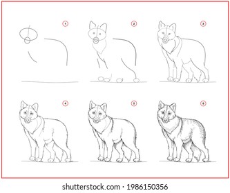 Page shows how to learn to draw sketch of cute grey wolf. Creation step by step pencil drawing. Educational page for artists. Textbook for developing artistic skills. Online education.