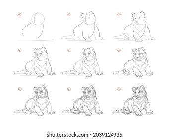 La página muestra cómo aprender a dibujar un boceto de cachorro de tigre. Creación paso a paso de dibujo de lápiz. Página educativa para artistas. Libro de texto para desarrollar habilidades artísticas. Educación en línea. Ilustración animal