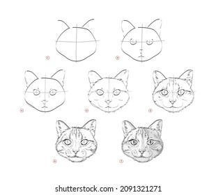 Page shows how to learn to draw sketch of cats head. Creation step by step pencil drawing. Educational page for artists. Textbook for developing artistic skills. Online education. Vector illustration