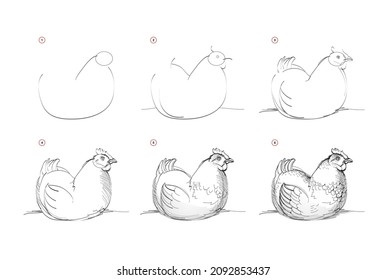Page shows how to learn to draw sketch of hen. Creation step by step pencil drawing. Educational page for artists. Textbook for developing artistic skills. Online education. Vector illustration