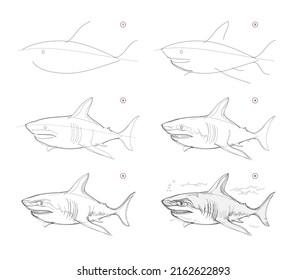 Page Shows How To Learn To Draw Sketch Of White Shark. Creation Step By Step Pencil Drawing. Educational Page For Artists. Textbook For Developing Artistic Skills. Online Education. Vector Image.